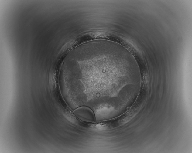 X0000116630506200912181328