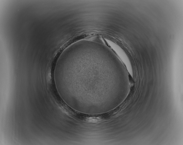 X0000116630508200912181328