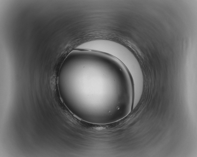 X0000116630509200912181327