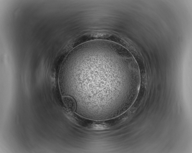 X0000116630510200912181327