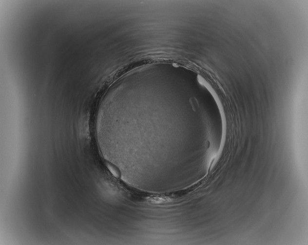 X0000116630512200912181327