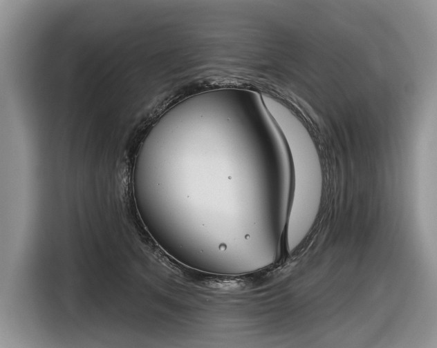 X0000116630513200912181327