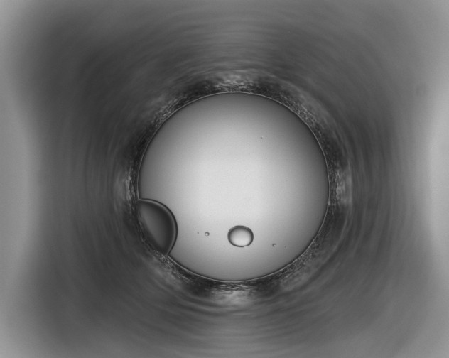 X0000116630514200912181327