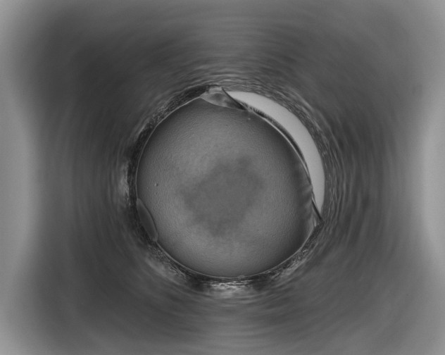 X0000116630516200912181327