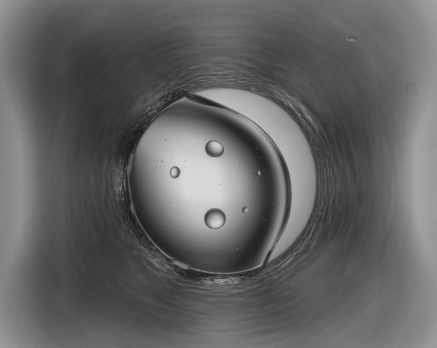 X0000116630517200912181327