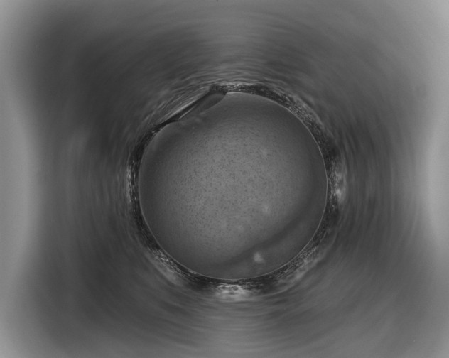 X0000116630519200912181327