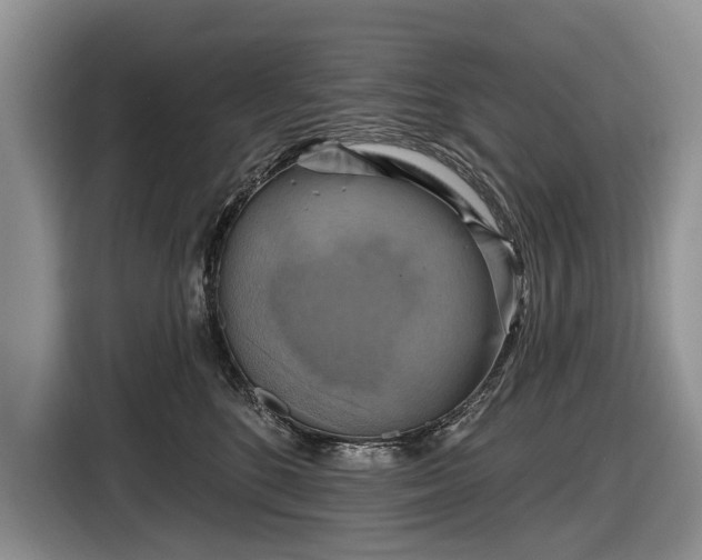 X0000116630520200912181327