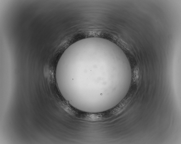 X0000116630522200912181327