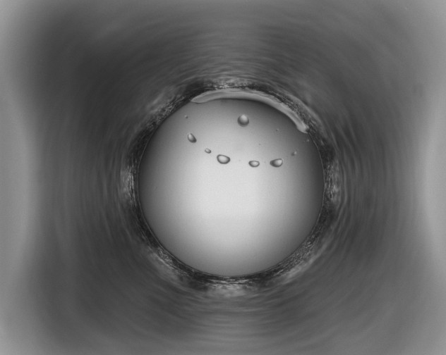 X0000116630523200912181327