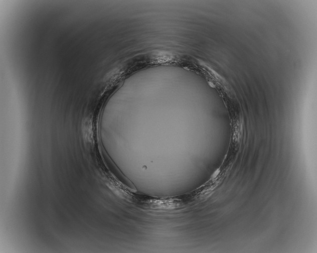 X0000116630524200912181327