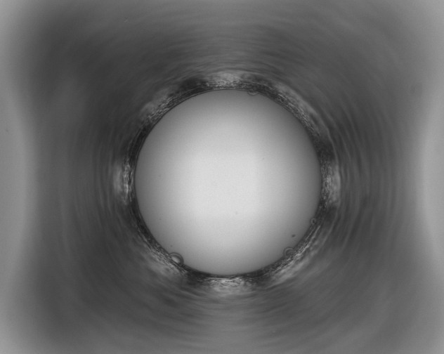 X0000116630525200912181327