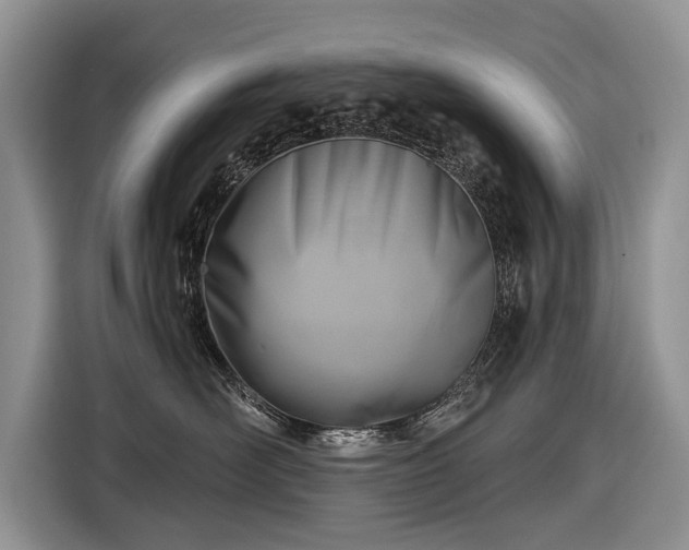 X0000116630526200912181327