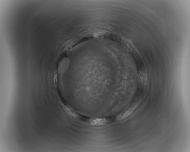 X0000116630527200912181327