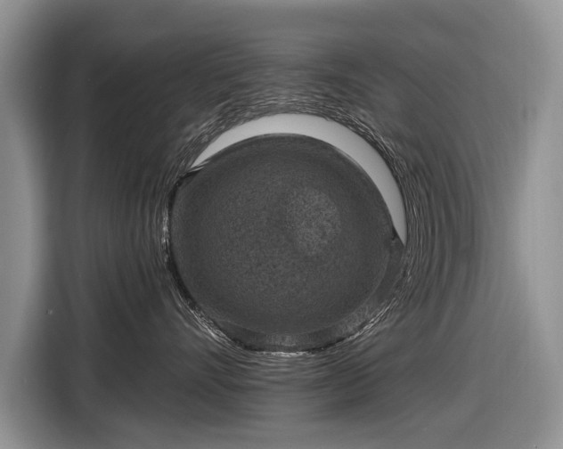 X0000116630528200912181327