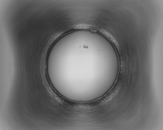 X0000116630529200912181327