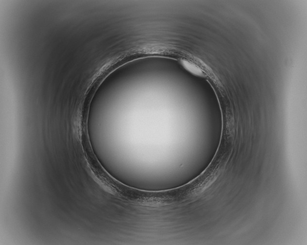 X0000116630530200912181327