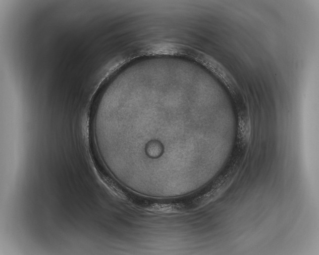 X0000116630534200912181327