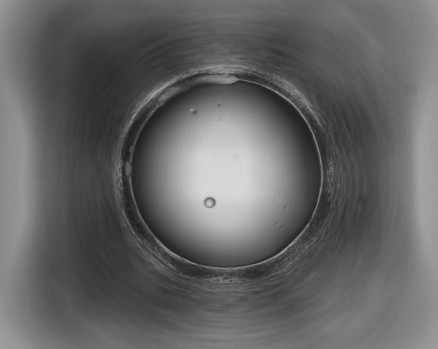 X0000116630535200912181327