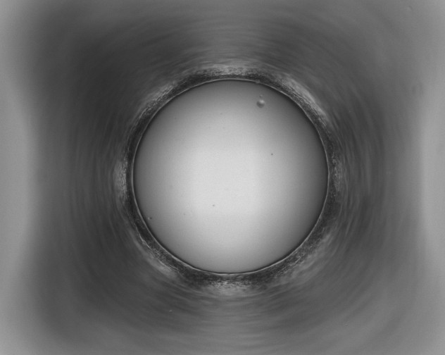 X0000116630537200912181327