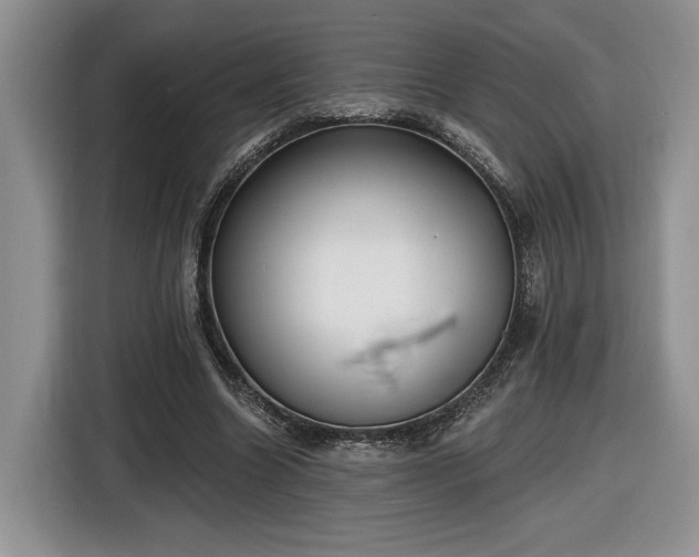 X0000116630538200912181327