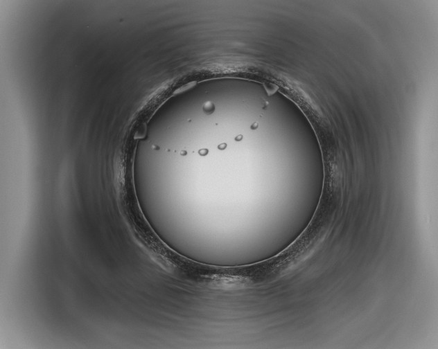 X0000116630539200912181327