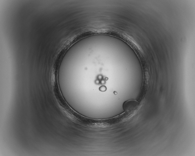 X0000116630541200912181327