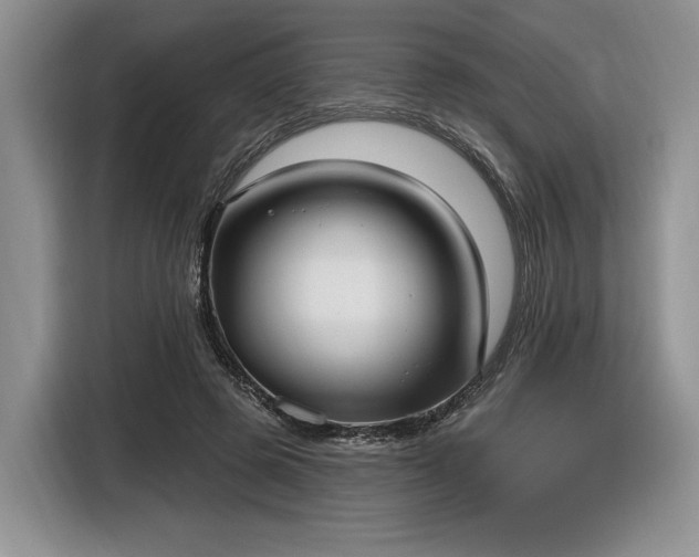 X0000116630545200912181327