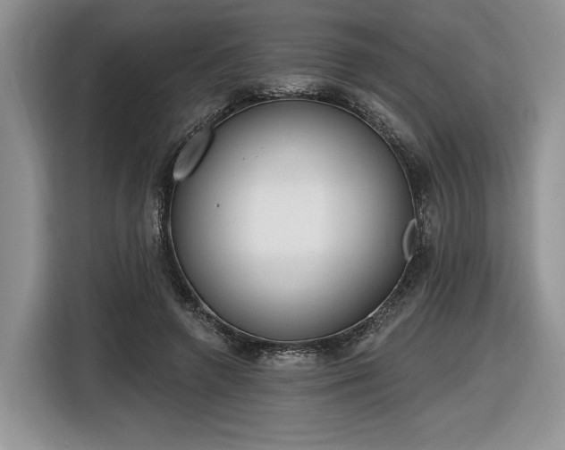 X0000116630546200912181327