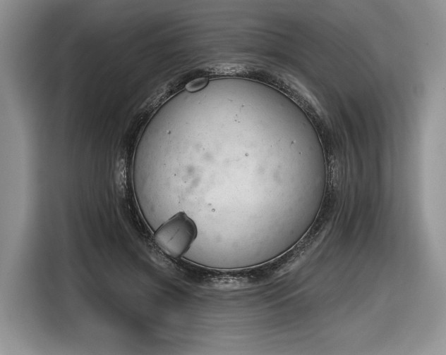 X0000116630549200912181327