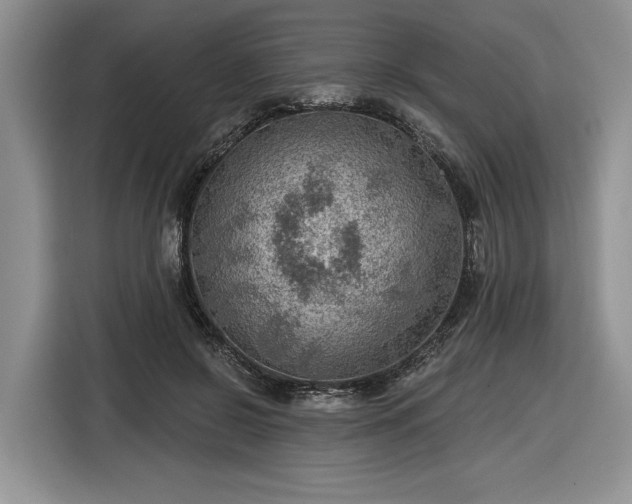 X0000116630550200912181327