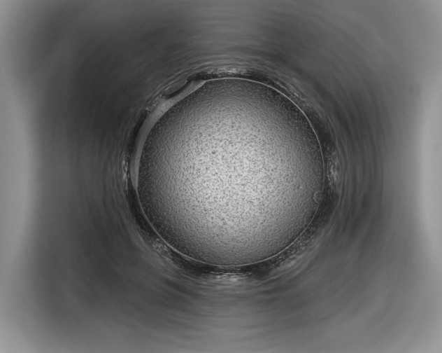 X0000116630551200912181327