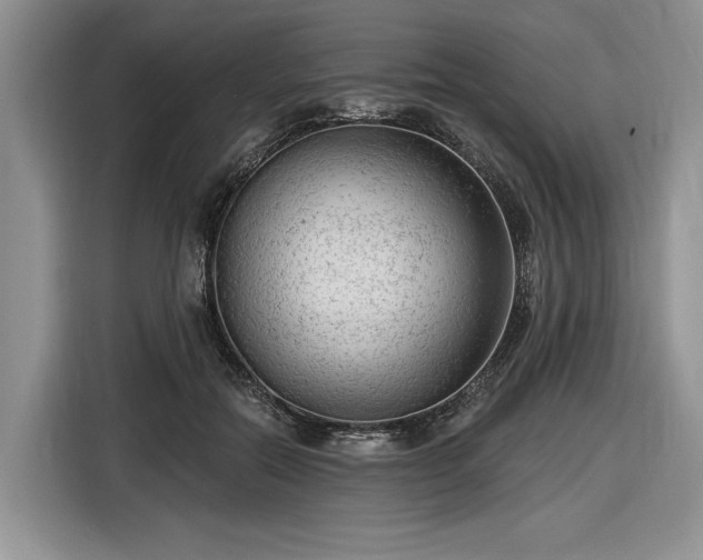 X0000116630554200912181327