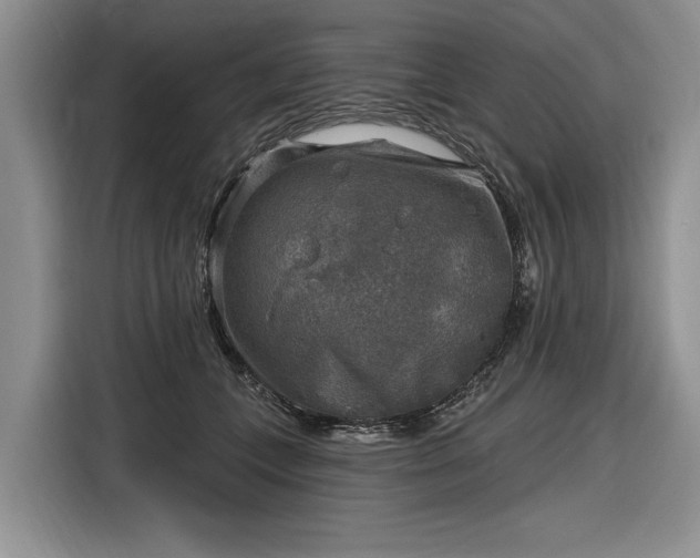 X0000116630559200912181327