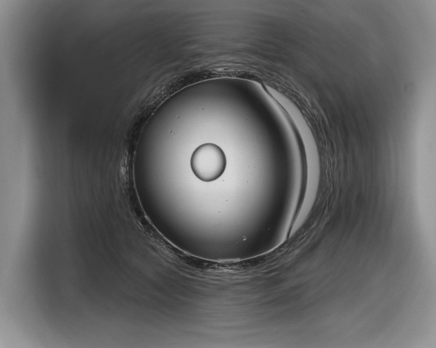 X0000116630561200912181327