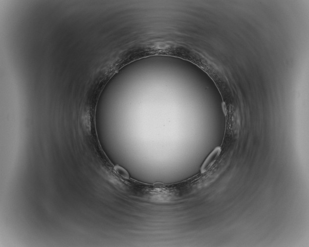 X0000116630562200912181327