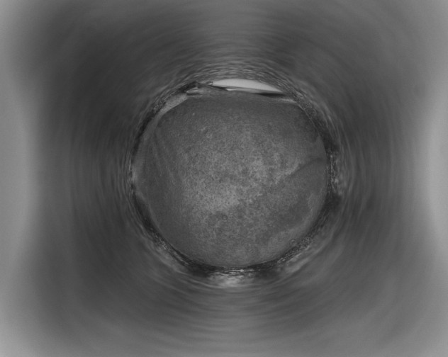 X0000116630563200912181327