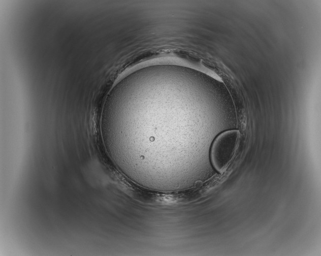 X0000116630565200912181327