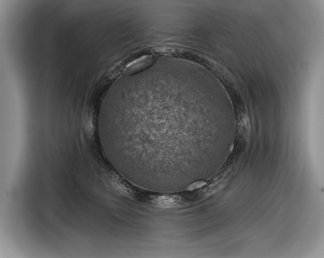 X0000116630566200912181327