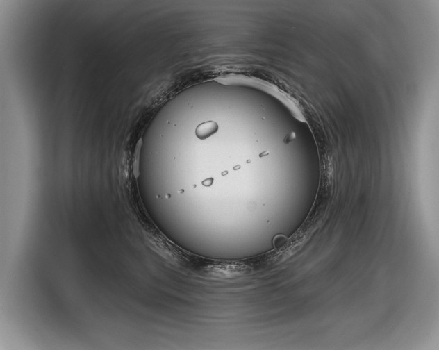 X0000116630567200912181327