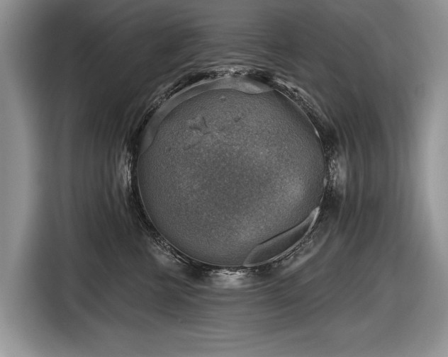 X0000116630570200912181327