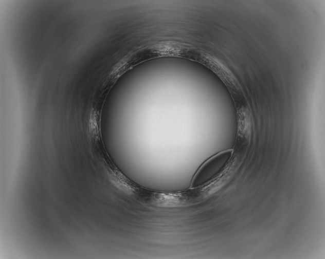 X0000116630573200912181327