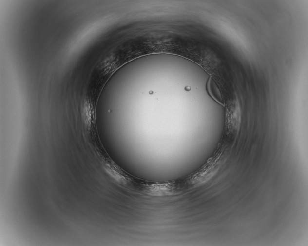 X0000116630574200912181327