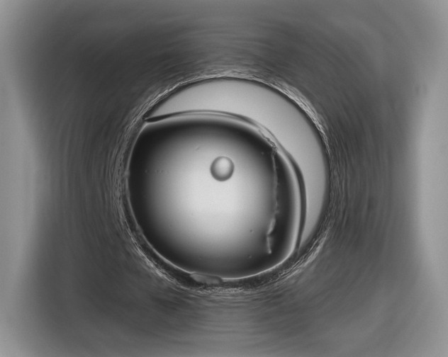 X0000116630577200912181327