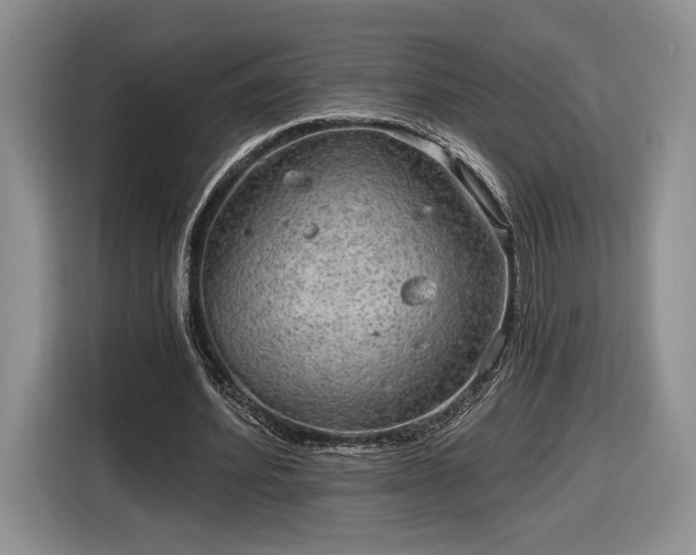 X0000116630580200912181327