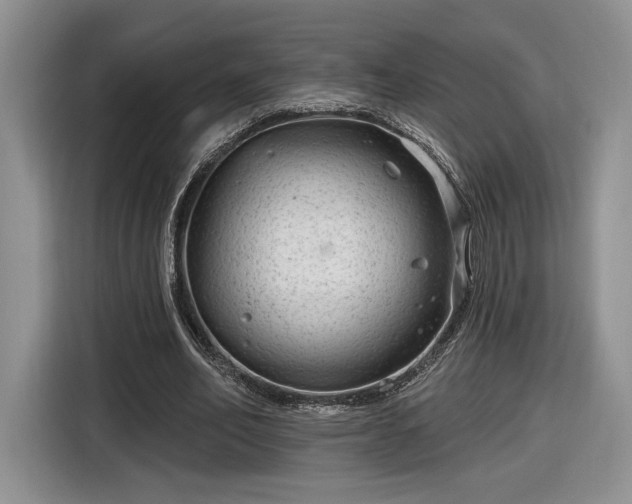 X0000116630582200912181327