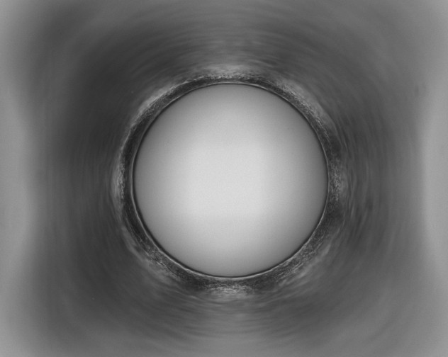 X0000116630583200912181327