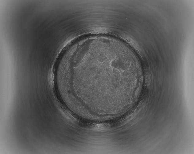 X0000116630584200912181327