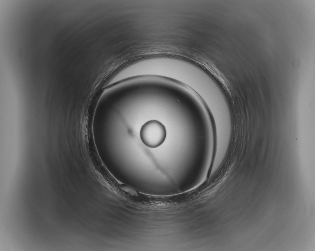 X0000116630585200912181327