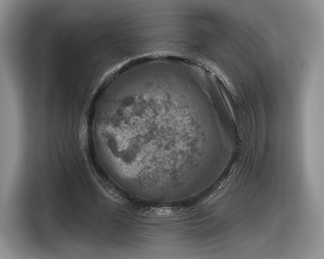 X0000116630588200912181326