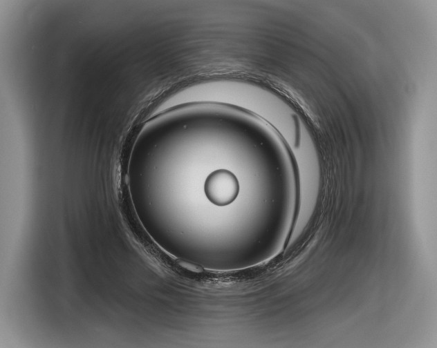 X0000116630589200912181326